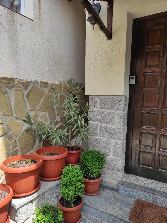 Рибарска 8 Apartment โซโซโปล ภายนอก รูปภาพ